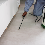 emergency residential pest control in Jackson, NJ