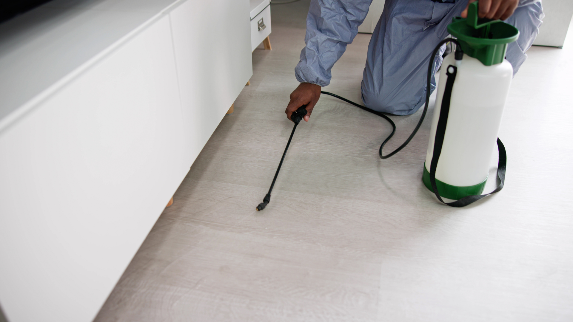 emergency residential pest control in Jackson, NJ