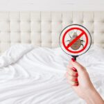 Lakewood bed bug pest control