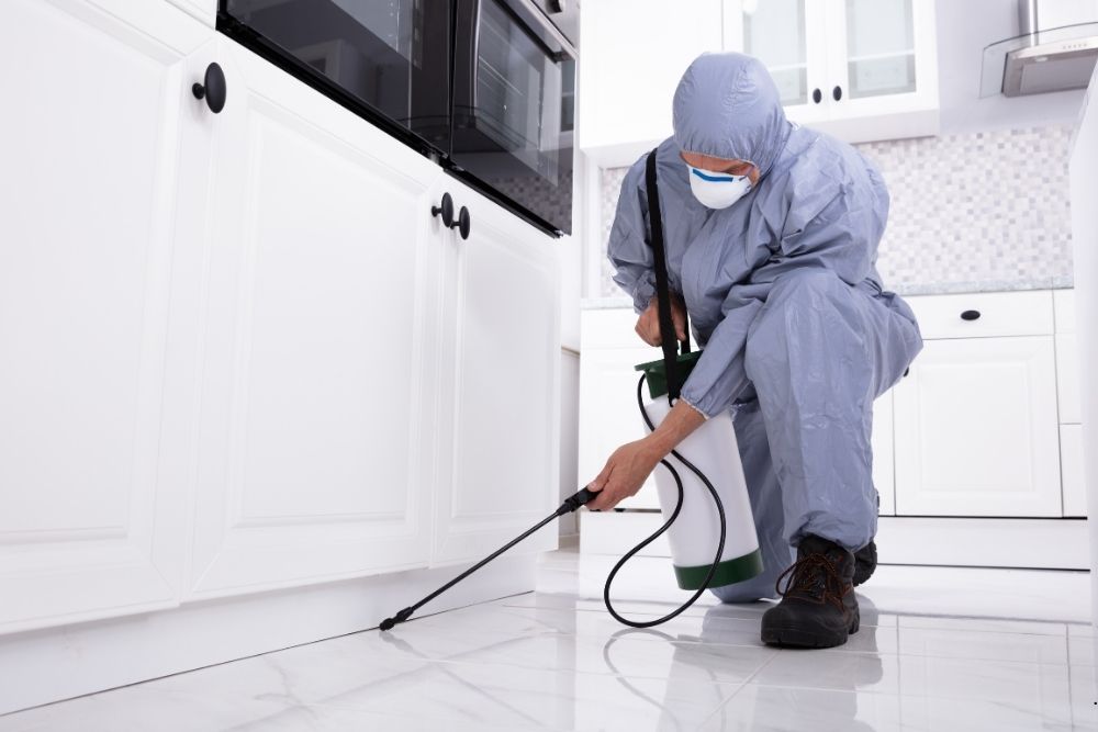 affordable residential pest control services in Toms River, NJ