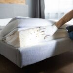 bed bug exterminator Middletown, NJ