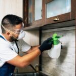 best residential pest control service in Lakewood, NJ