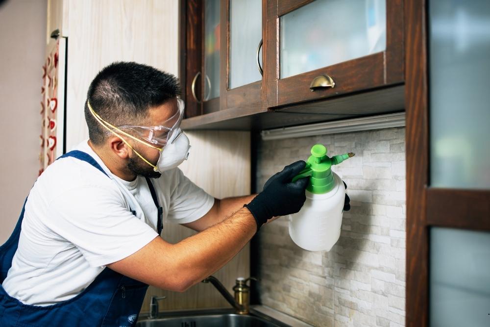 best residential pest control service in Lakewood, NJ