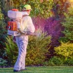 emergency residential pest control in Toms River, NJ