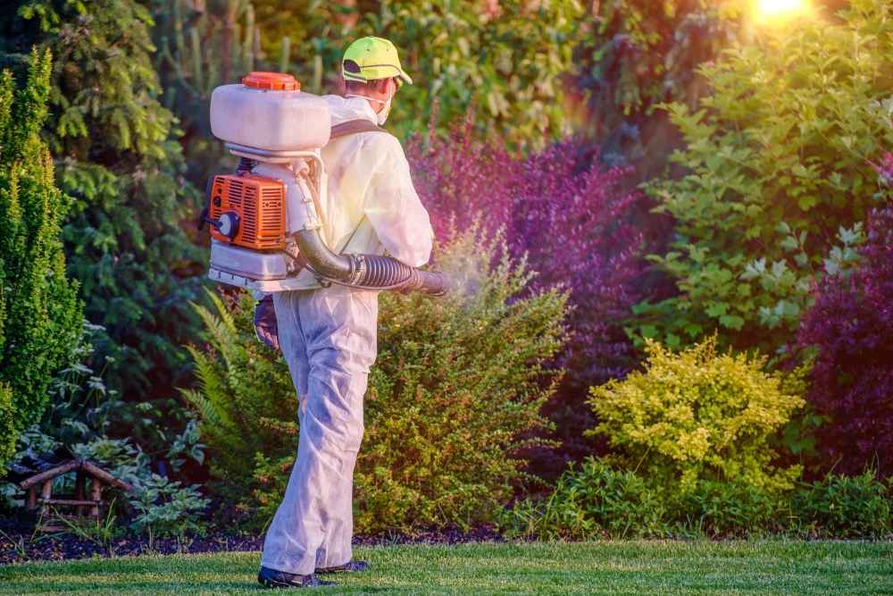 emergency residential pest control in Toms River, NJ