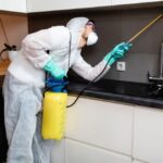flea pest control Middletown, NJ