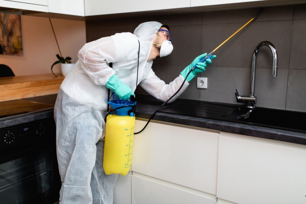 flea pest control Middletown, NJ