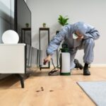 pest prevention services Middletown, NJ