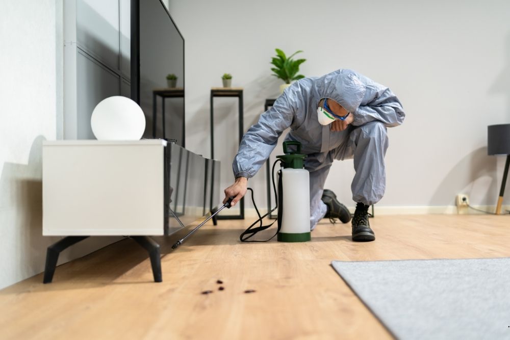 pest prevention services Middletown, NJ