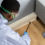 termite exterminator near Middletown, NJ